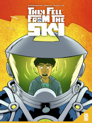 cover image of They Fell From the Sky